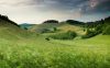 claudio-testa-SO3JtE3gZo-unsplash-scaled-1.jpg