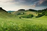 claudio-testa-SO3JtE3gZo-unsplash-scaled-1.jpg